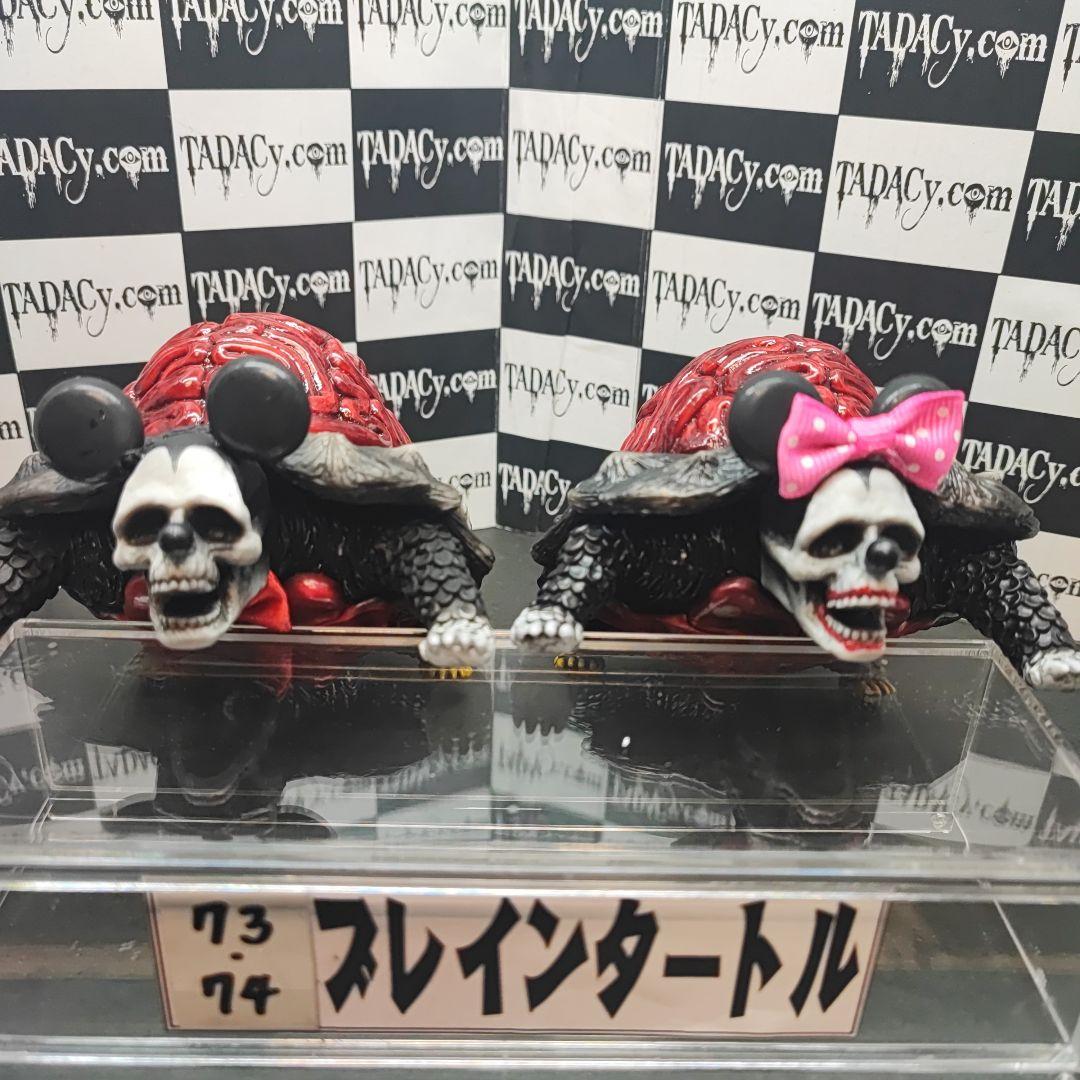 73.74ブレインタートルセット