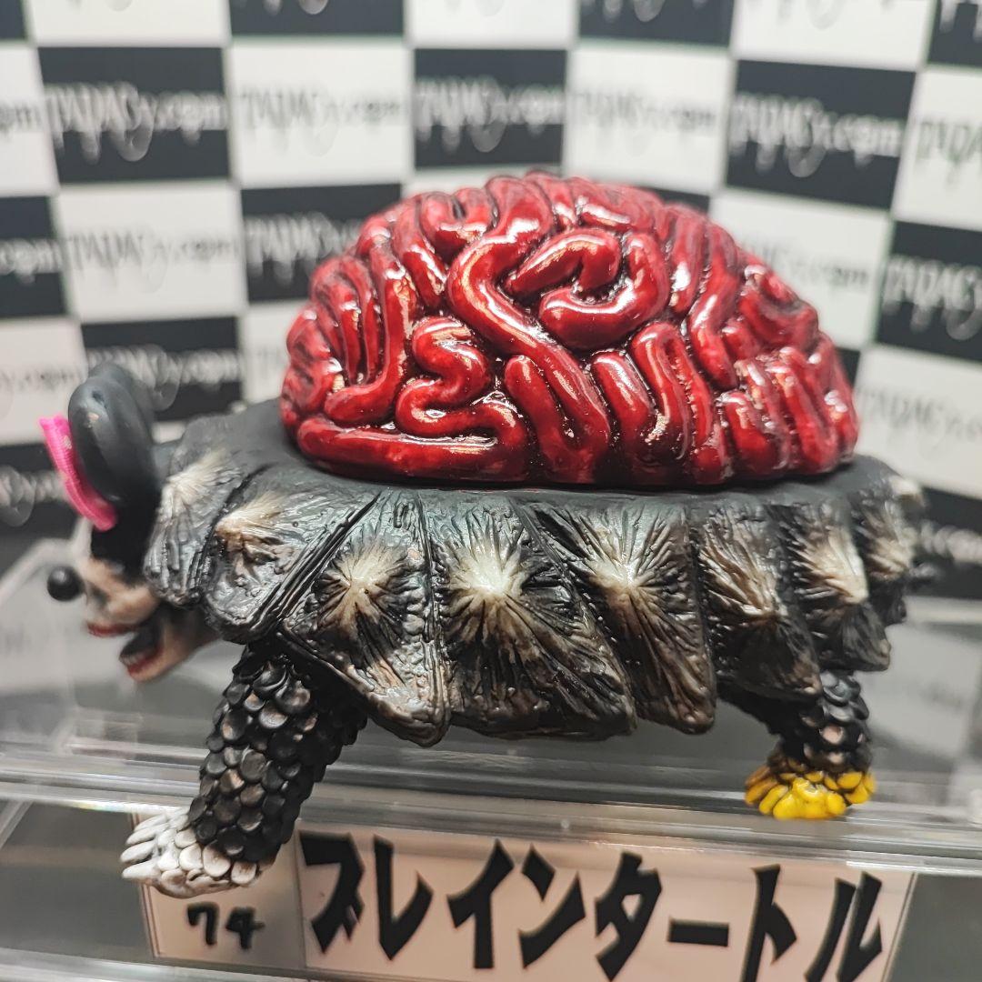 73.74ブレインタートルセット