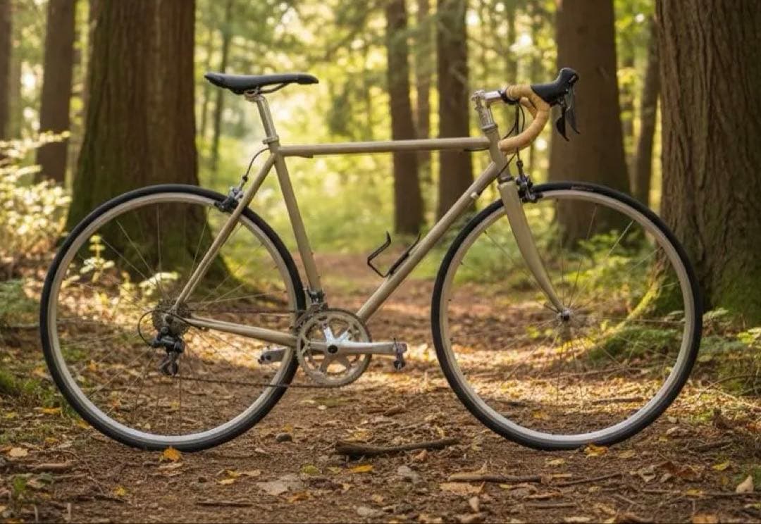 Raleigh ラレー CRF CARLTON-F クロモリ　ロードバイク