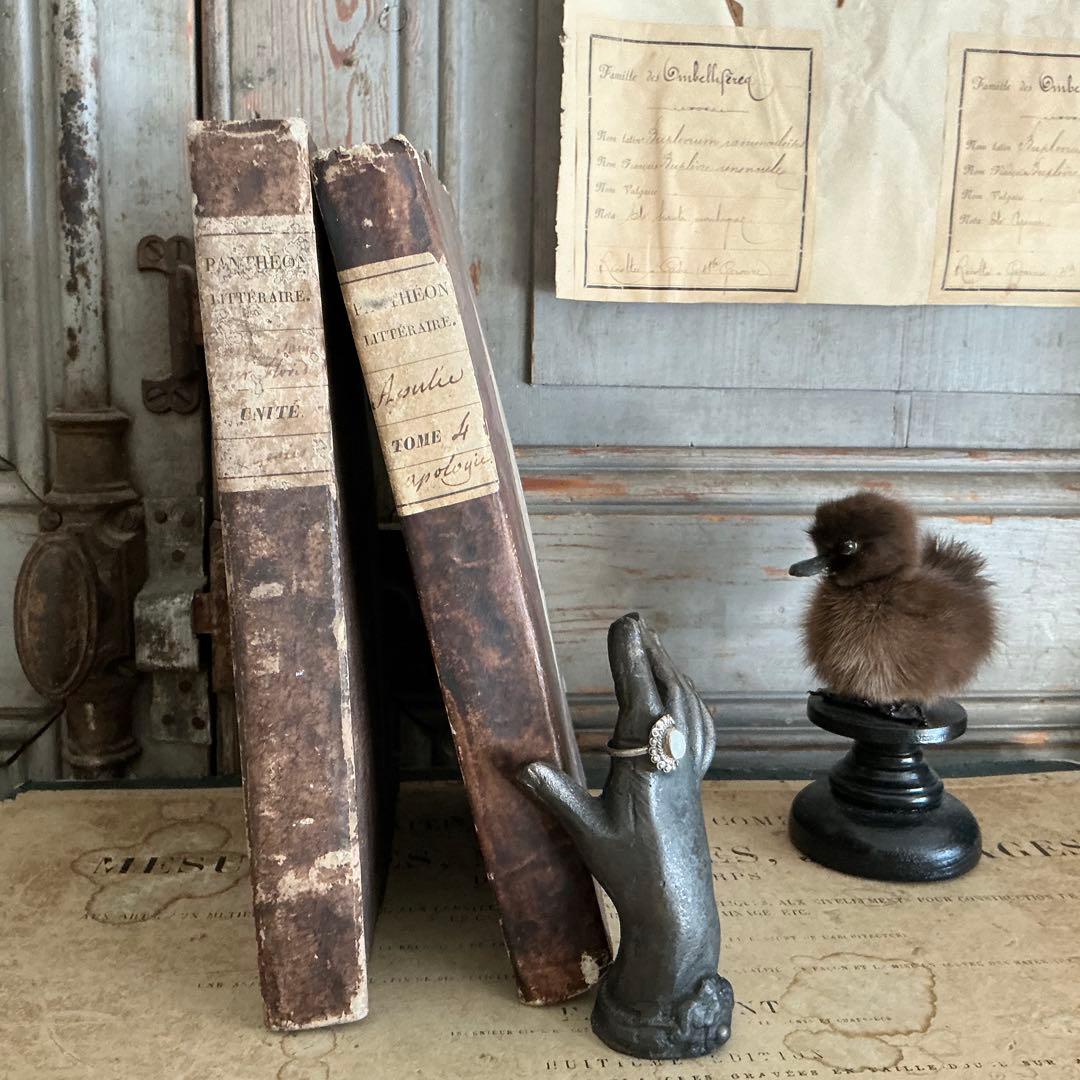 １９世紀　フランスアンティーク　２冊　ラベルだけの本　古書　ブロカント　古紙