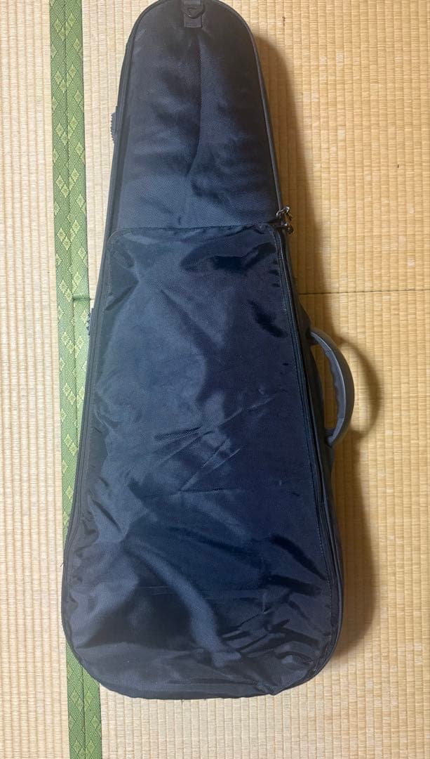 GRASS ROOTS G-AC-45 ケース付コンパクトアコースティックギター