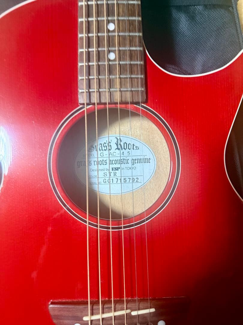 GRASS ROOTS G-AC-45 ケース付コンパクトアコースティックギター