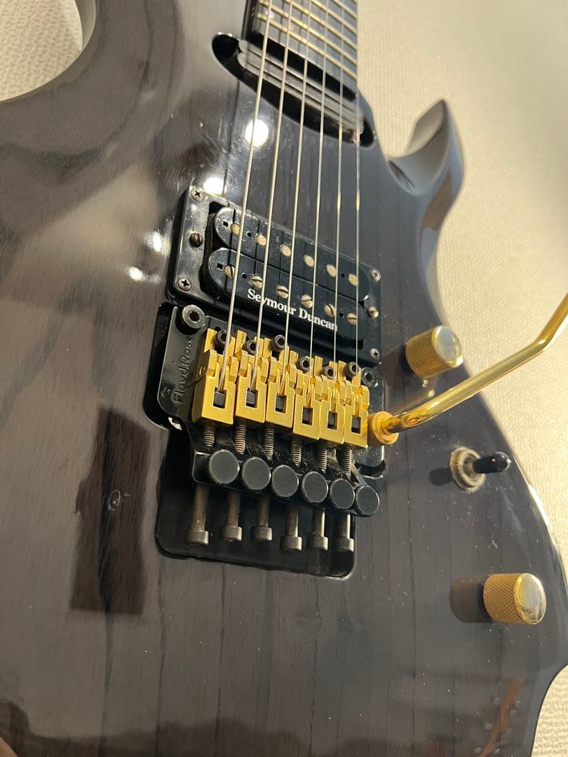 ESP Forest-GT 2002年製　シースルーブラック