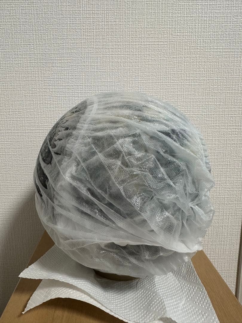 【美品】イクノイックスソリッド　15ポンド※1/28(火)9:00までセール中