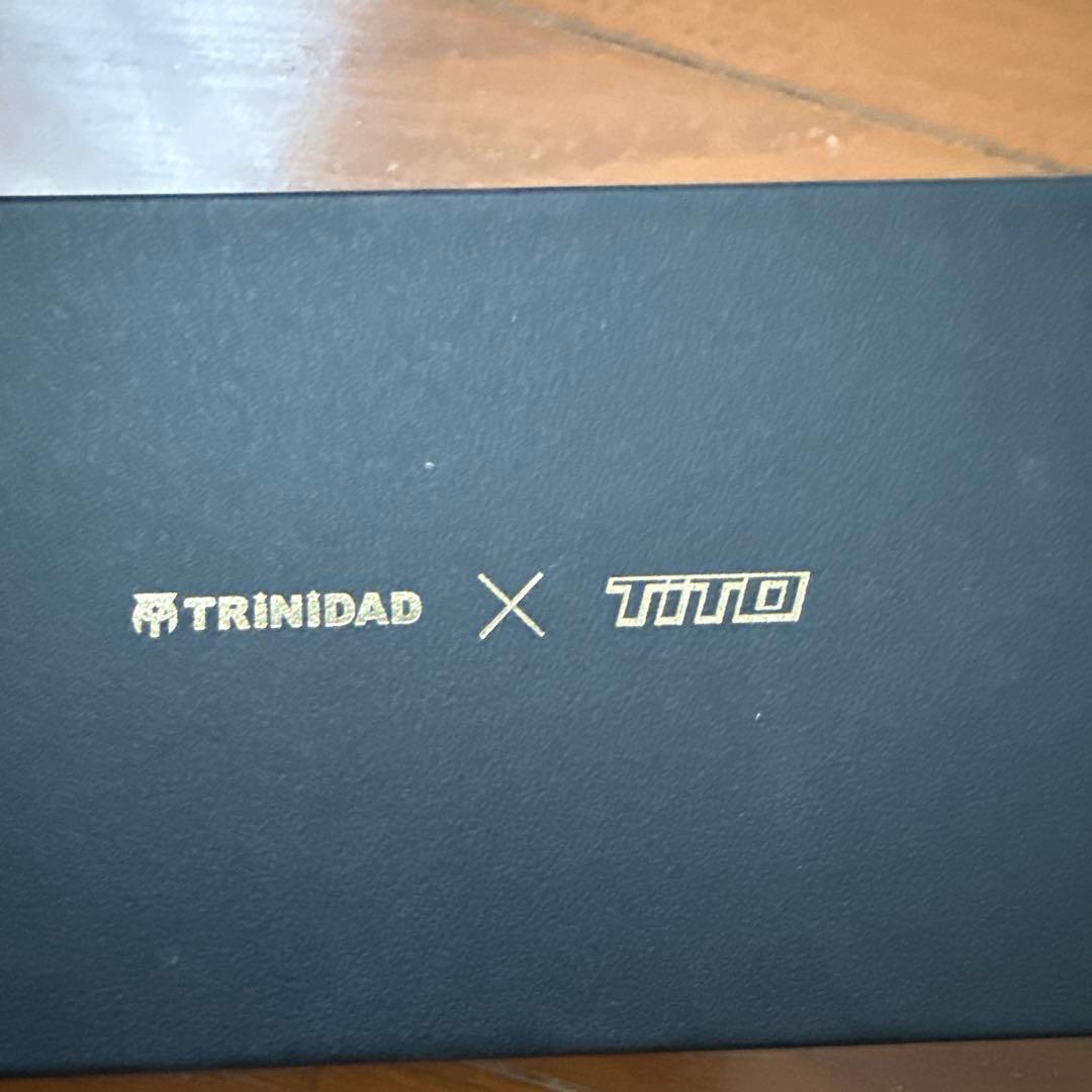 TRINIDAD TITO ダーツ レイジーゼロ