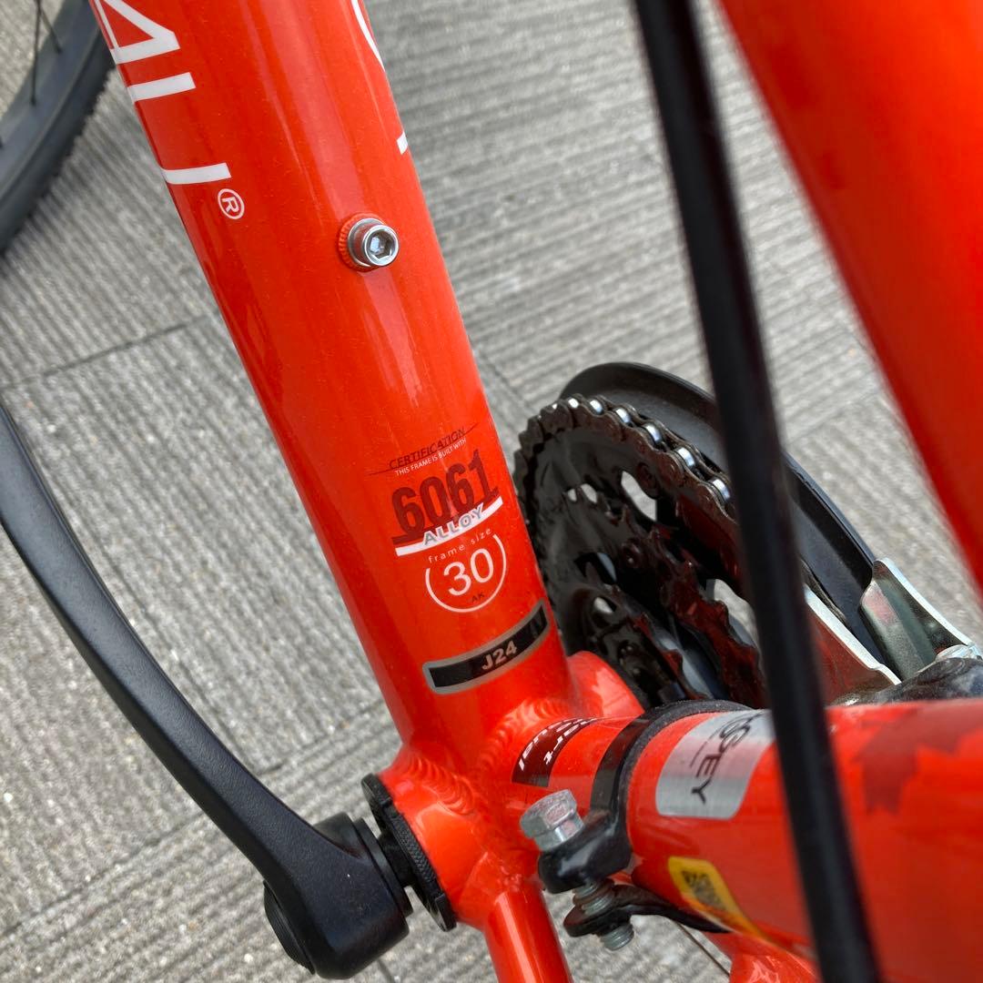 ルイガノ ジュニア用 24インチ アルミフレーム （引き取り限定）