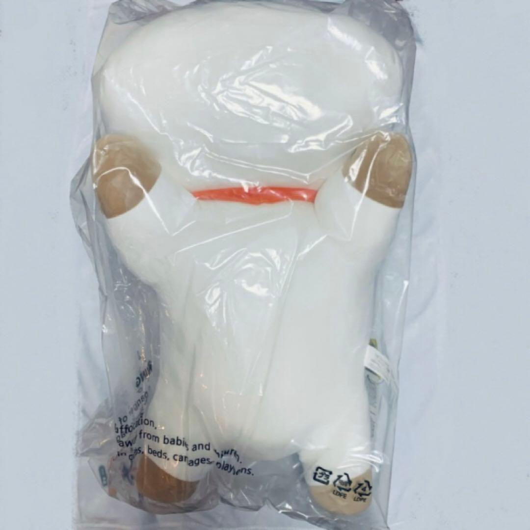 BTS bt21 ベビー スーパーピロークッション RJ TATA