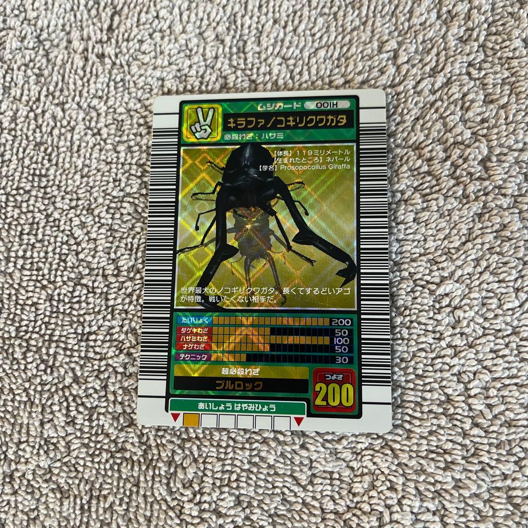 キラファノコギリクワガタ