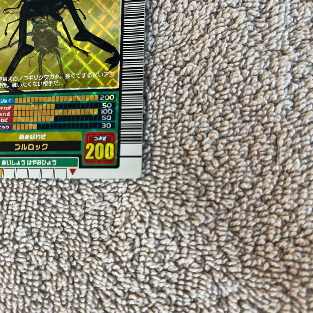 キラファノコギリクワガタ