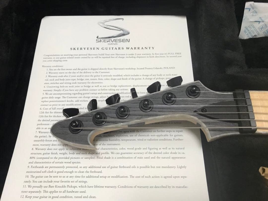 ギター skervesen guitars velociraptor6