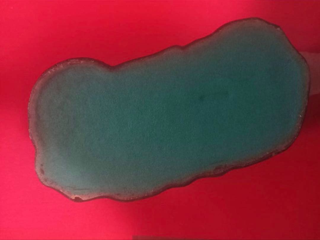 牛 金属製置物 部位名入