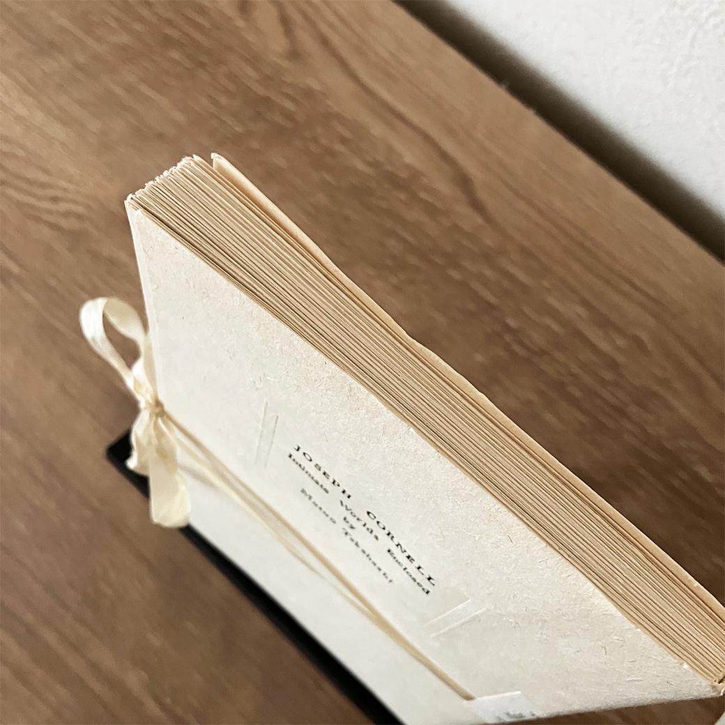 ジョセフ・コーネル 箱宇宙を讃えて 川村記念美術館