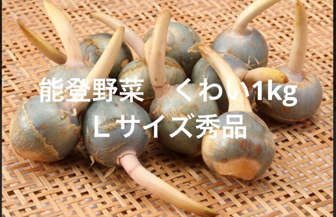 能登野菜　神子原特産　くわい2kg 2Ｌサイズ秀品