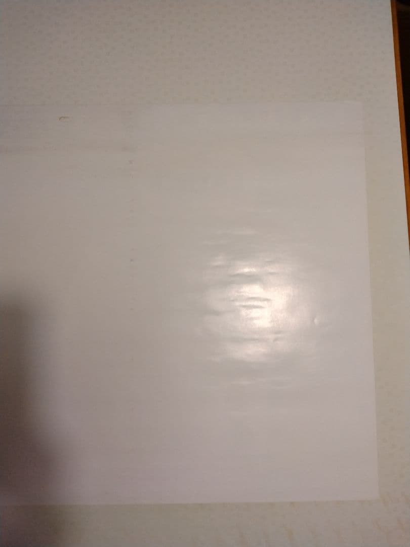 FRANK　ZAPPA　LATHER フランク・ザッパ　レザー　ポスター