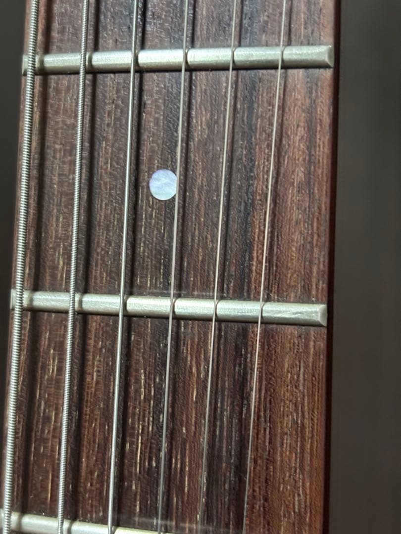 FERNANDES FR-65 ジャンク