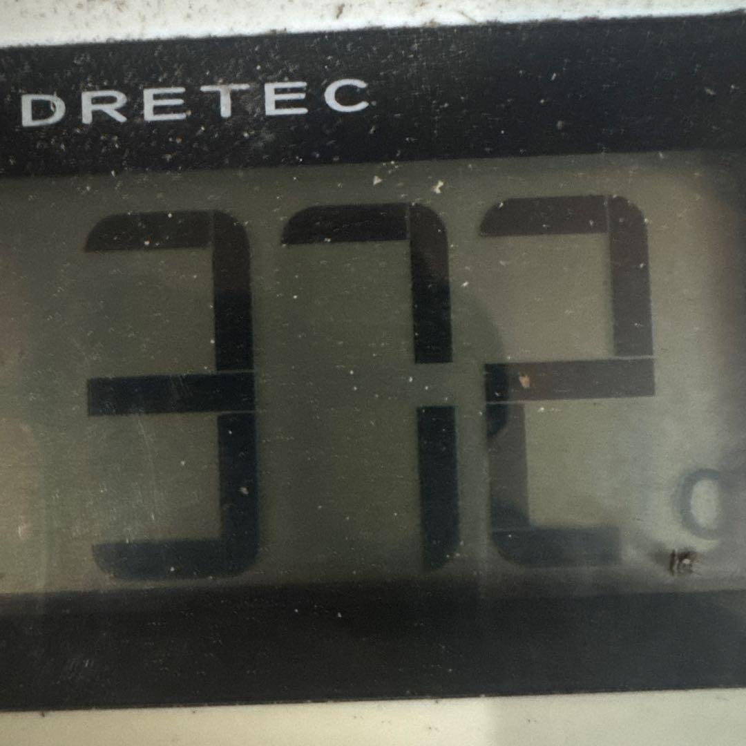 岩手県産松茸 本日収穫 372ｇ