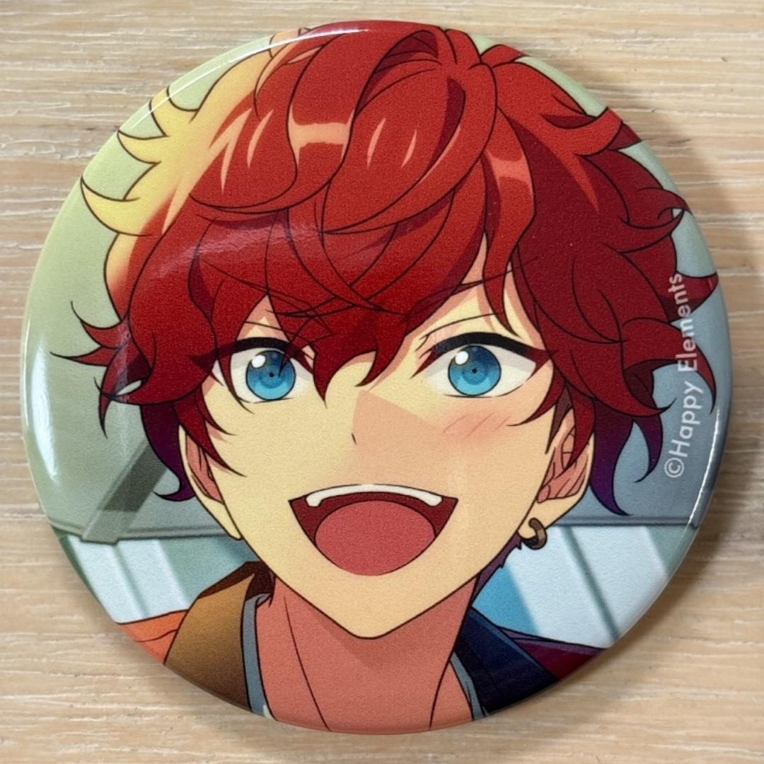 天城一彩 あんスタ コレクション 缶バッジ Feb casual 20個