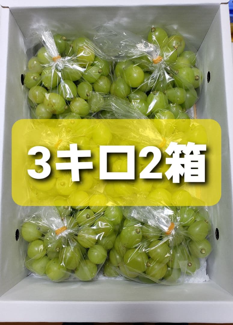 シャインマスカット訳あり粒3キロ2箱