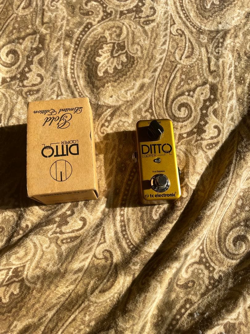 ギター TC electronic Ditto Looper.Gold