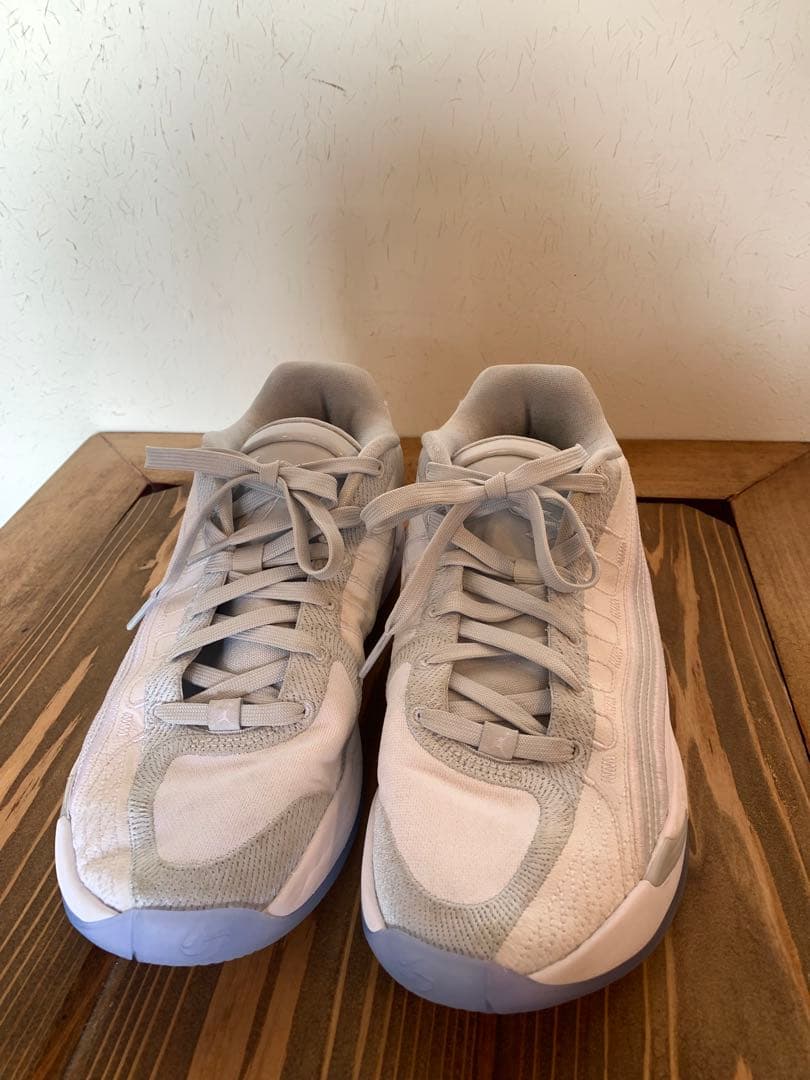 ジョーダンルカ4 TB PF