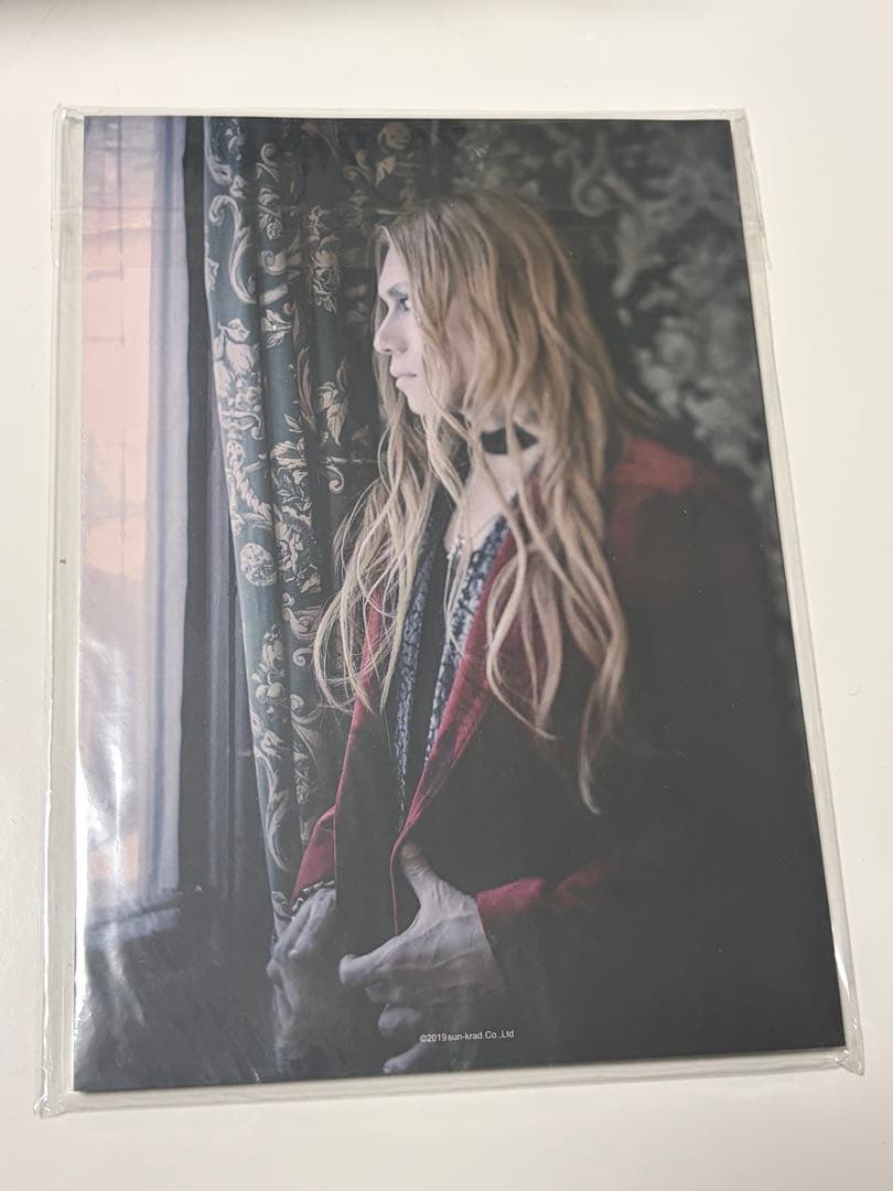 Dir en grey die 朱乱の威 パンフレット