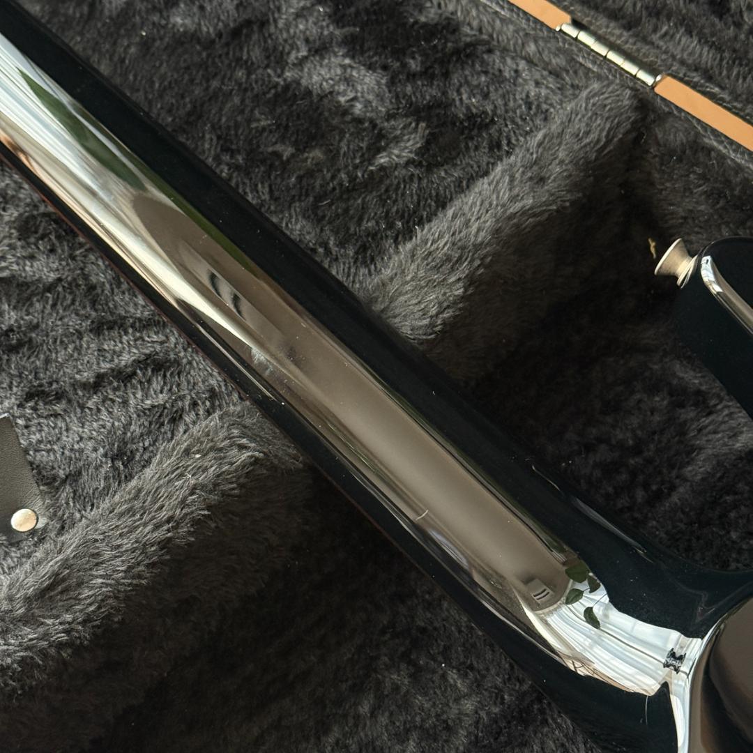 Fernandes APG-DLX JPC フルモードサスティナー 24フレット