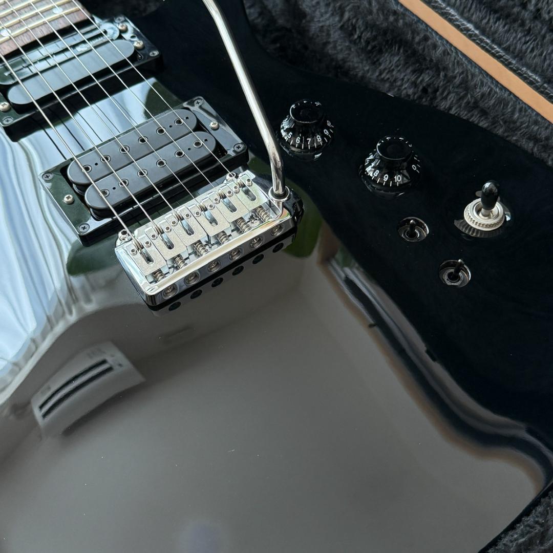 Fernandes APG-DLX JPC フルモードサスティナー 24フレット