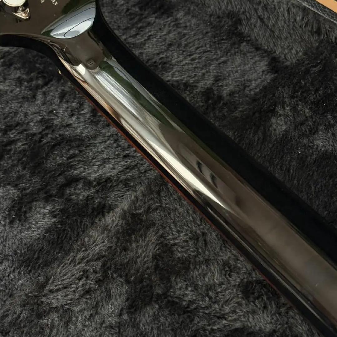 Fernandes APG-DLX JPC フルモードサスティナー 24フレット