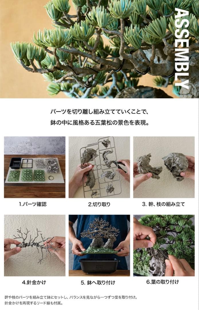 NEIGHBORHOOD SRL BANDAI BONSAI 盆栽