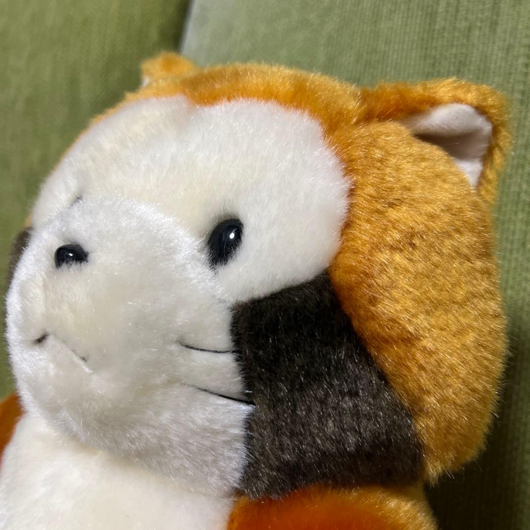 あらいぐまラスカル　ぬいぐるみ（セキグチ）