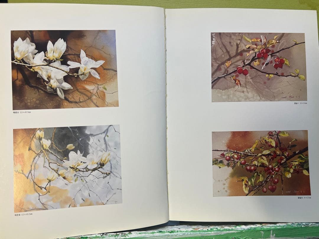 Hａn S am Ｓook 韓国女流作家、真作。 波うねる東海岸。