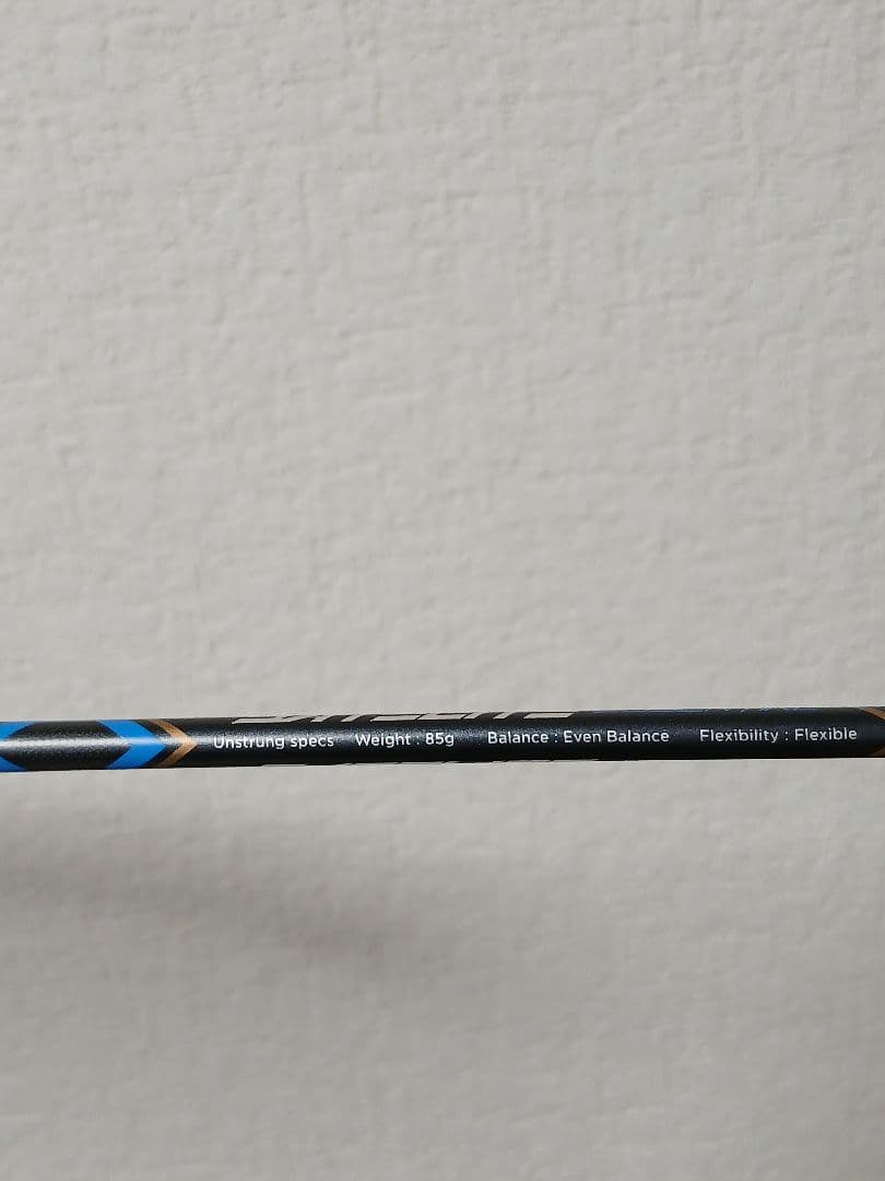 Babolat サテライト6.5エッセンシャル