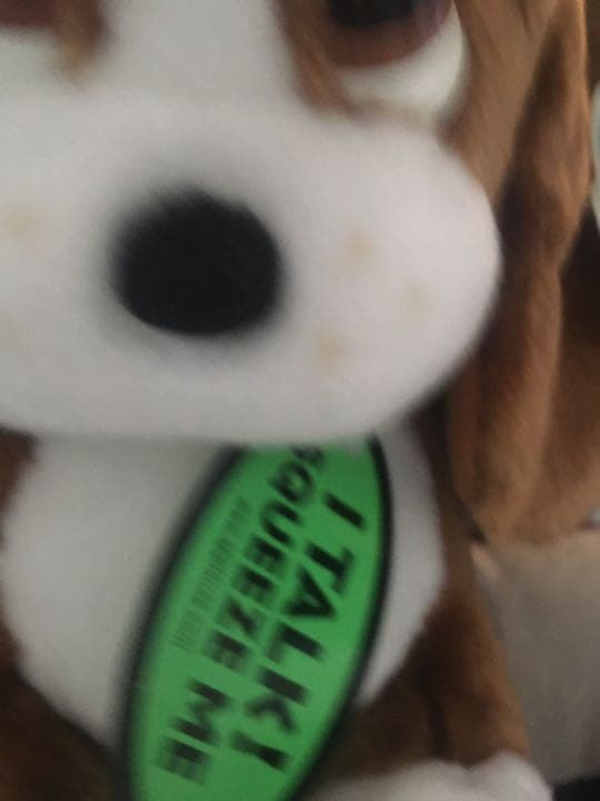 Sad Sam いぬわんたん ぬいぐるみ