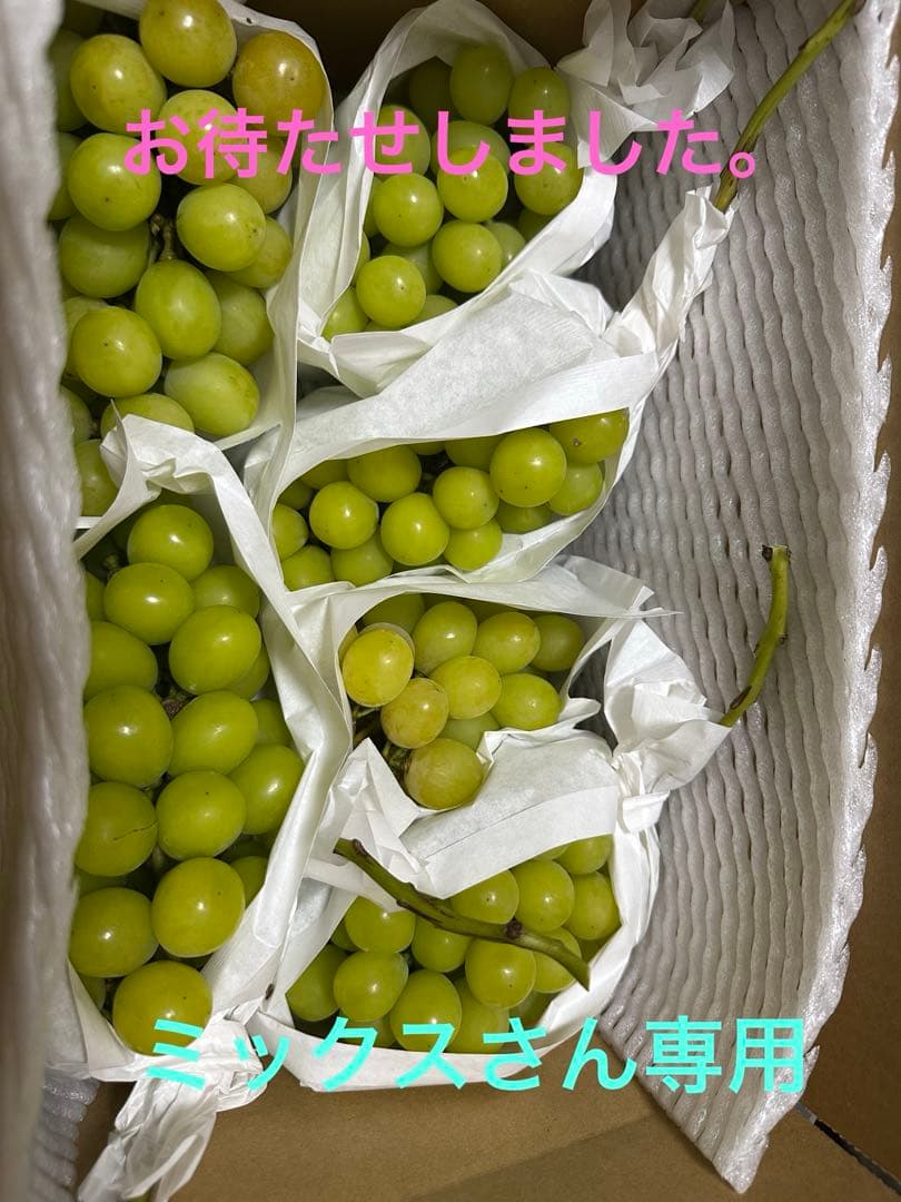 ミックスさん専用 訳あり山梨県甲州市産シャインマスカット５キロ