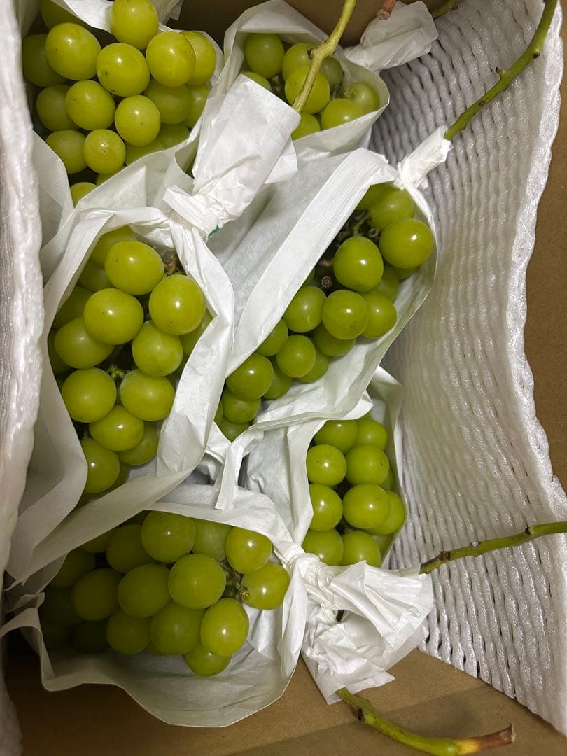 ミックスさん専用 訳あり山梨県甲州市産シャインマスカット５キロ