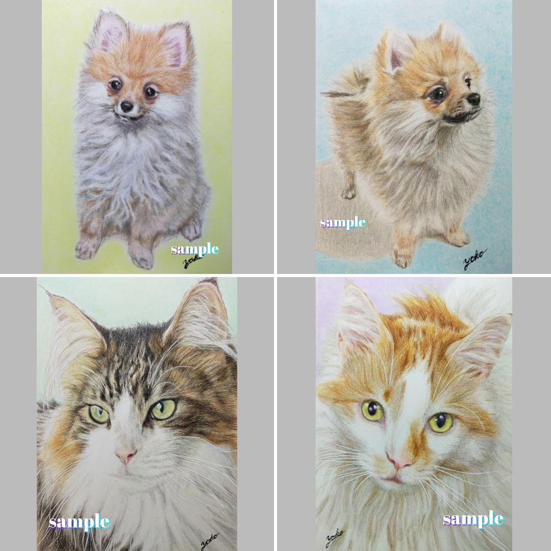 色鉛筆画✭愛猫愛犬✭ペット似顔絵　肖像画　イラスト　注文オーダー　受付ページ　1