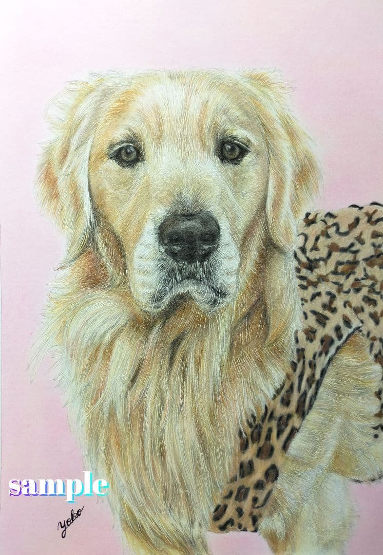 色鉛筆画✭愛猫愛犬✭ペット似顔絵　肖像画　イラスト　注文オーダー　受付ページ　1