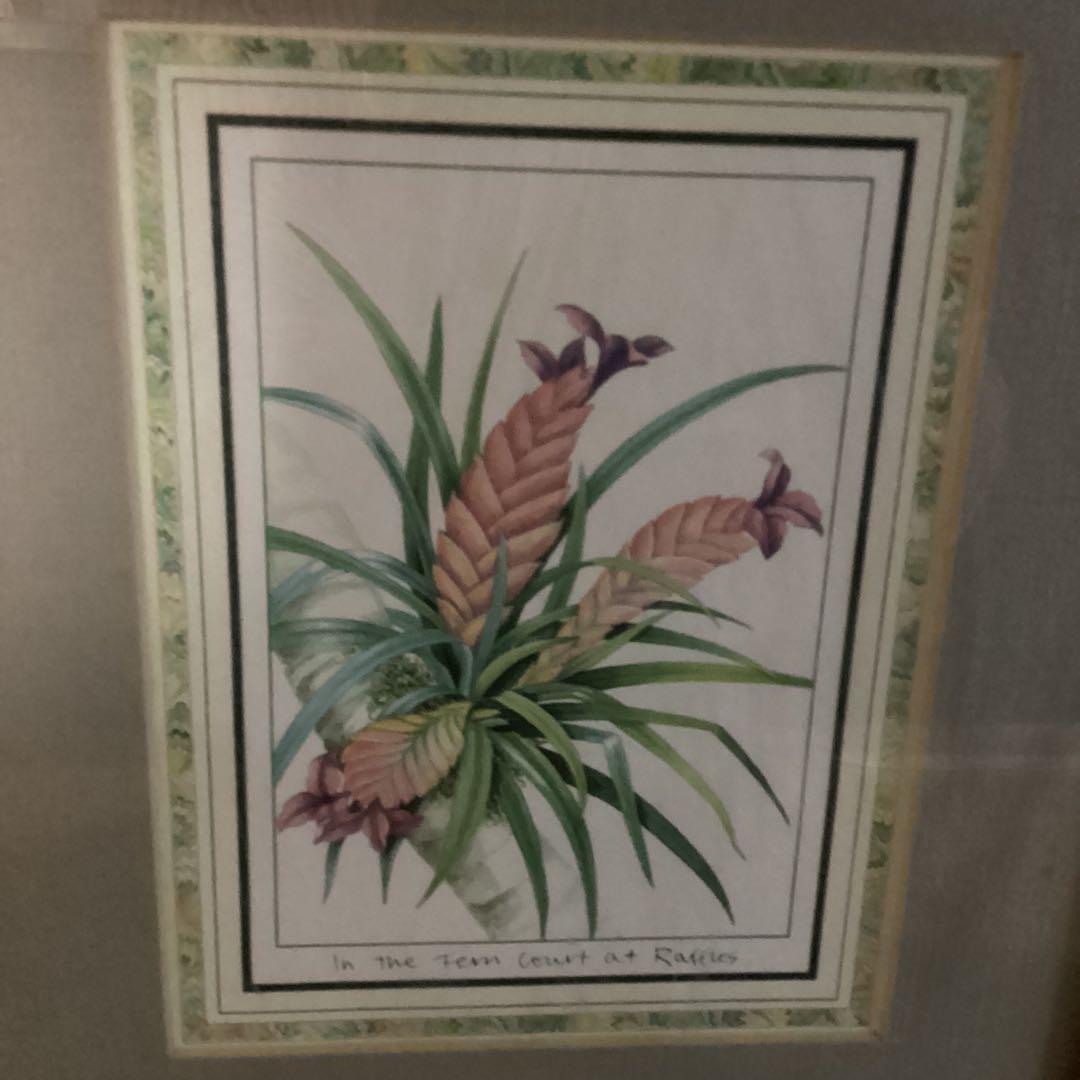 シンガポール　ラッフルズホテル　熱帯植物リトグラフ　額装仕立て