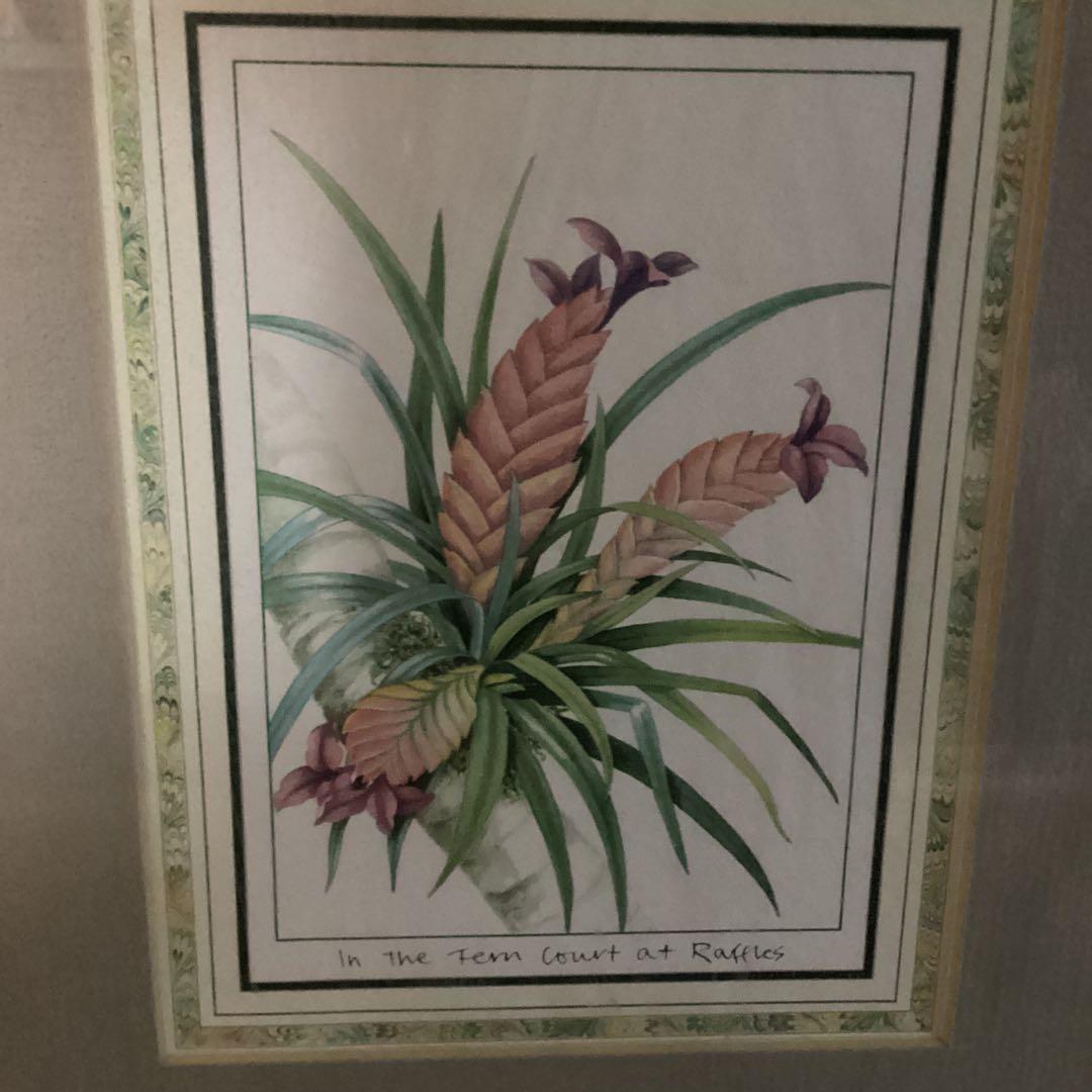 シンガポール　ラッフルズホテル　熱帯植物リトグラフ　額装仕立て