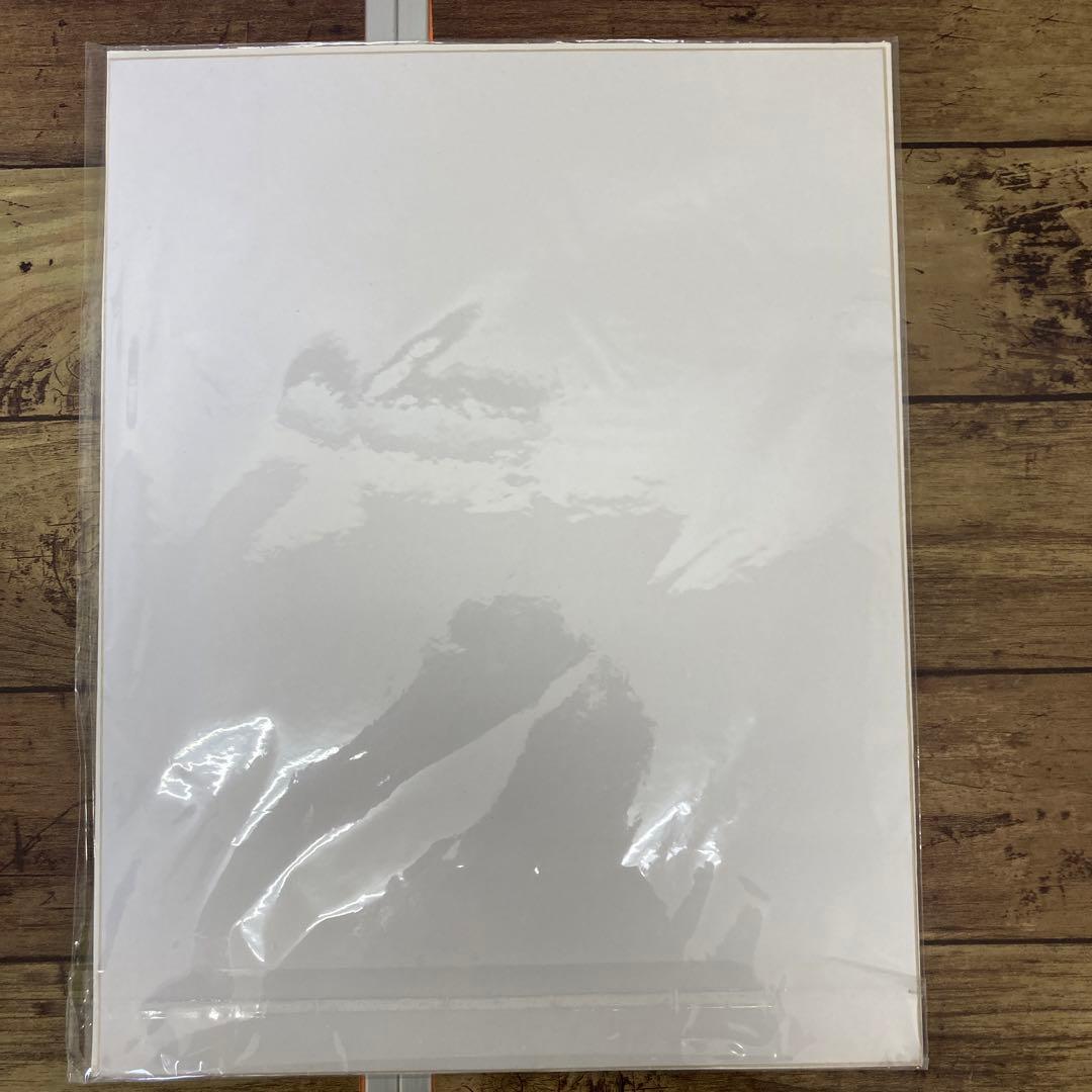 花井祐介 / 豊田弘治 アートポスター 未開封 GreenRoom Hawaii