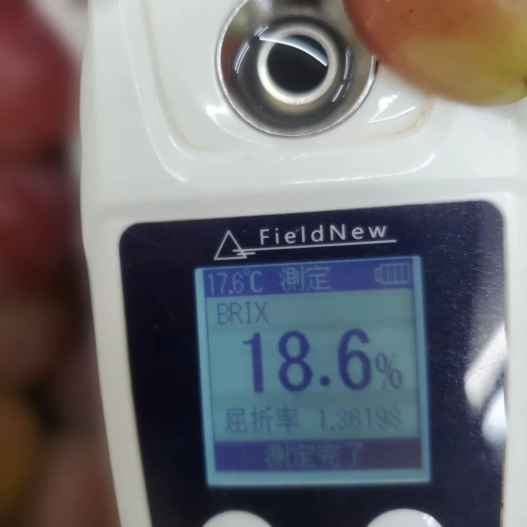 4️⃣ 山梨県産 シャインマスカット＆スカーレット １０房入り 箱込み5.4キロ