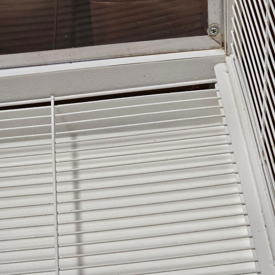 鳥かご 大型 バードケージ