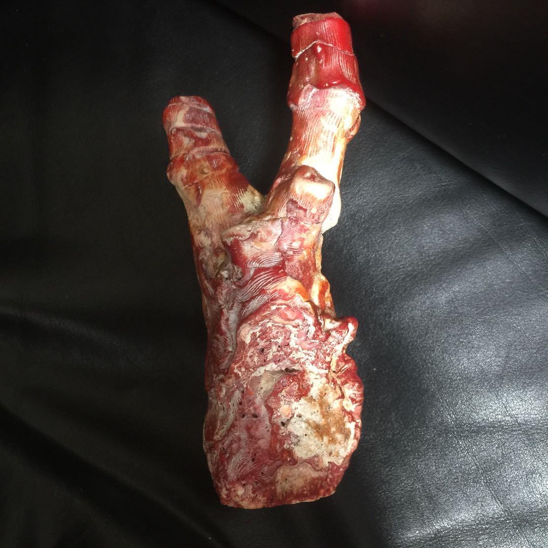 天然 紅珊瑚 504g