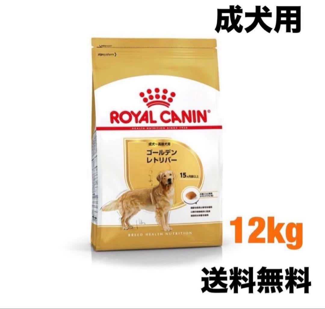  CANIN ゴールデンレトリバー 12kg