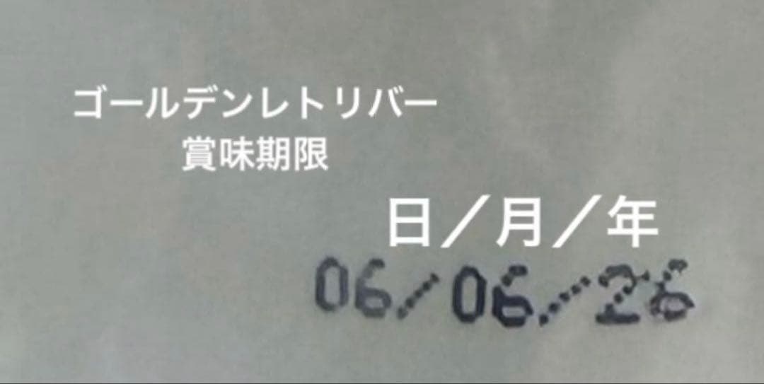  CANIN ゴールデンレトリバー 12kg