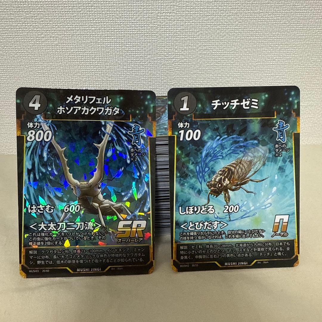 【早い者勝ち！】【大特価！】虫神器引退品（デッキあり、LRあり）