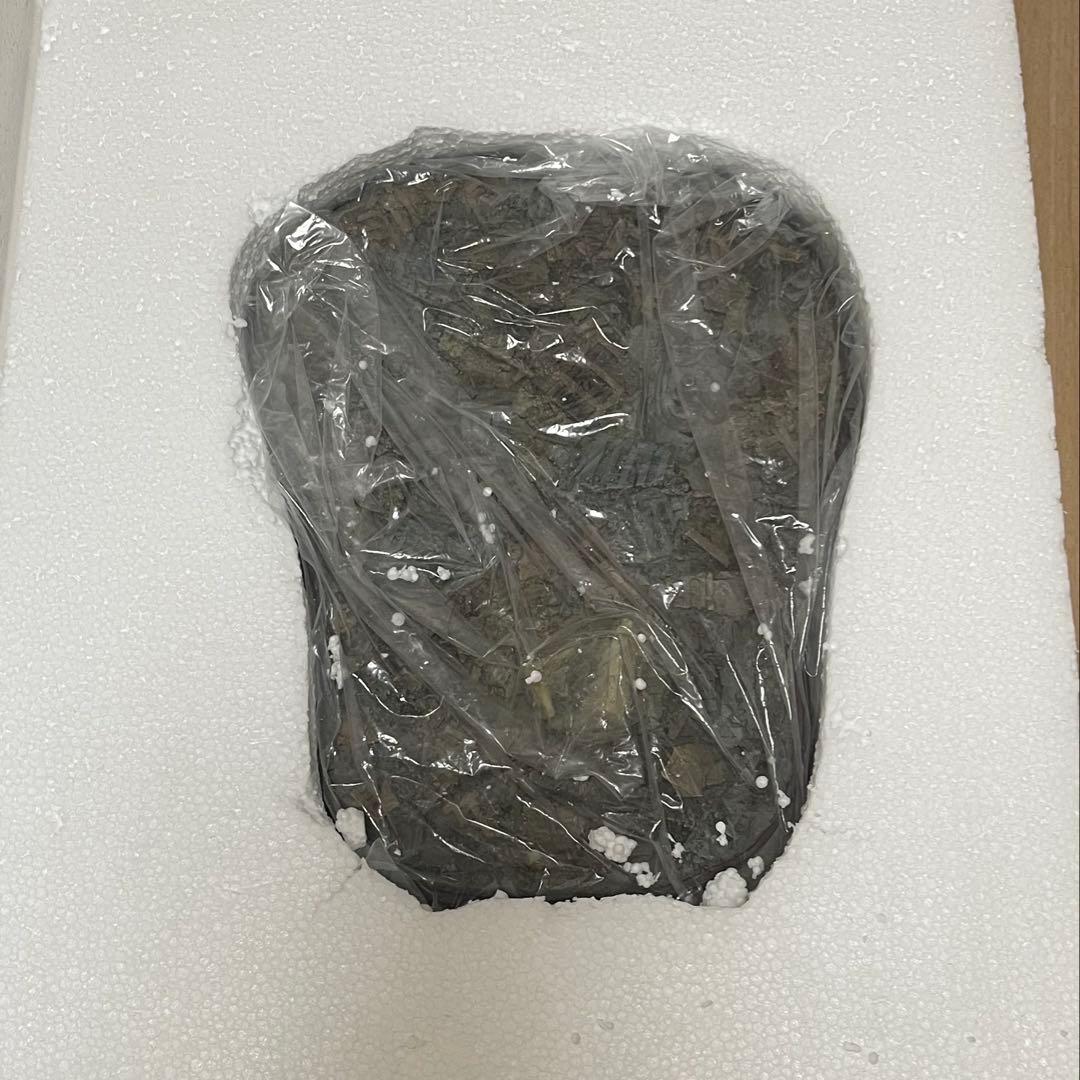 リアルマスターコレクションplus メカゴジラ 1975 フィギュア スタチュー