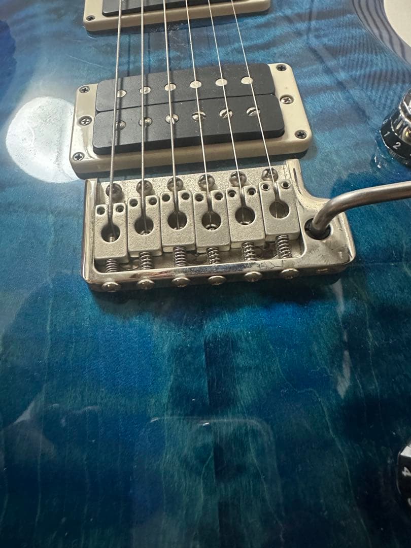 ギター Paul Reed Smith(PRS) S2 CUSTOM 24