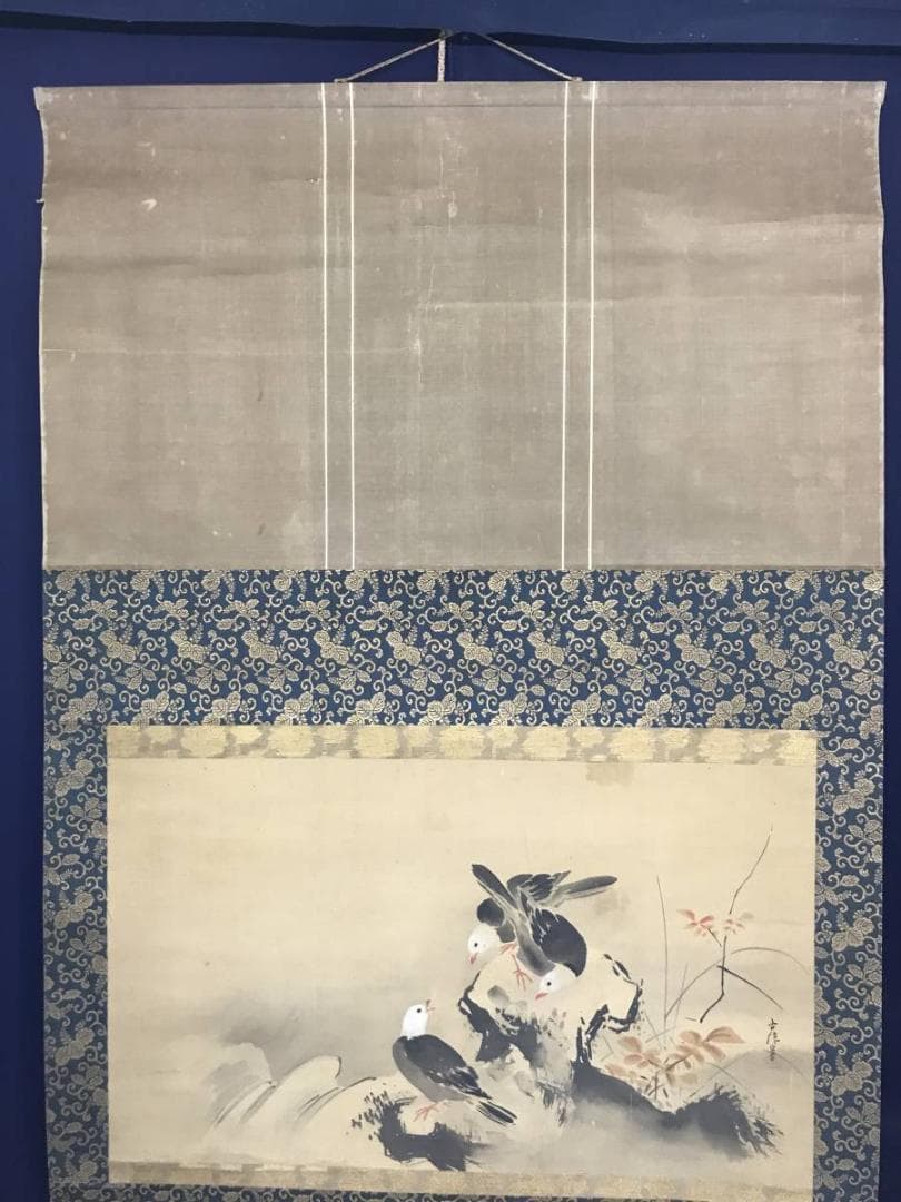 【真作】狩野古信/紅葉小禽図/花鳥図/横物/江戸中期/掛軸/名家伝来AC-409