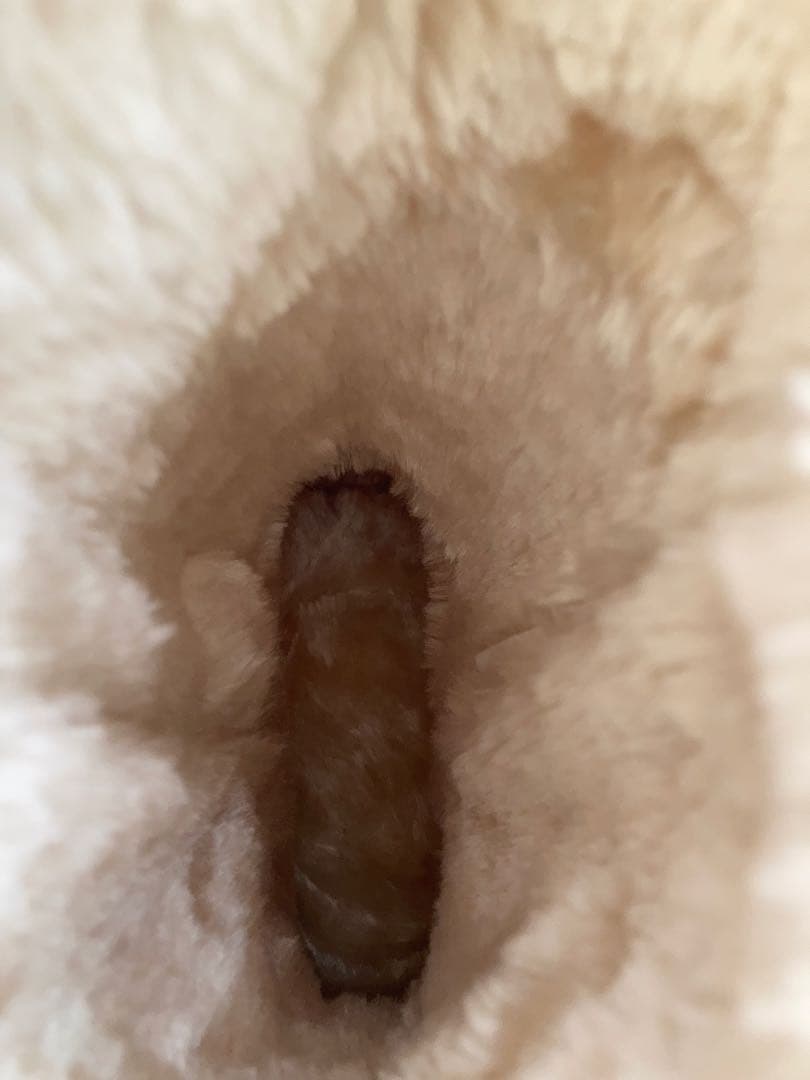 レア！未使用訳ありマイメロブーツM〜Lタグ付